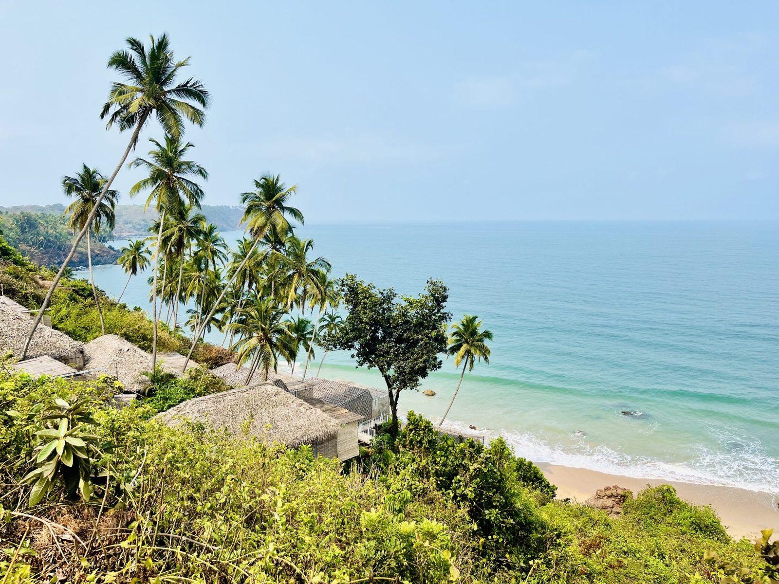 Palms and rocks above a South Goa beach